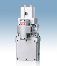 Dual Solenoid Valve